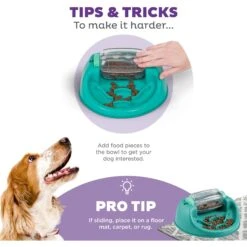 Nina Ottosson By Outward Hound Spin N' Eat Dog Food Puzzle Feeder, Green 12 Nina Ottosson By Outward Hound Spin N' Eat Dog Food Puzzle Feeder, Green -Blue Buffalos Shop 778214 PT3. AC SS1800 V1694439634