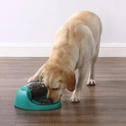 Nina Ottosson By Outward Hound Spin N' Eat Dog Food Puzzle Feeder, Green 13 Nina Ottosson By Outward Hound Spin N' Eat Dog Food Puzzle Feeder, Green -Blue Buffalos Shop 778214 PT4. AC SS1800 V1694287366