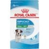 Royal Canin Size Health Nutrition Small Puppy Dry Dog Food -Blue Buffalos Shop 778790 MAIN. AC SS1800 V1676653912