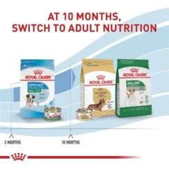 Royal Canin Size Health Nutrition Small Puppy Dry Dog Food -Blue Buffalos Shop 778790 PT6. AC SS1800 V1676653248