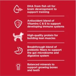 Hill's Science Diet Puppy Large Breed Lamb Meal & Brown Rice Recipe Dry Dog Food -Blue Buffalos Shop 779126 PT2. AC SS1800 V1676907196