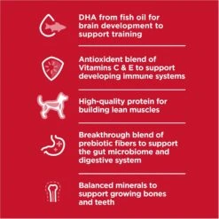 Hill's Science Diet Puppy Large Breed Chicken & Brown Rice Recipe Dry Dog Food -Blue Buffalos Shop 779142 PT2. AC SS1800 V1676907199