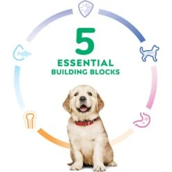 Hill's Science Diet Puppy Large Breed Chicken & Brown Rice Recipe Dry Dog Food -Blue Buffalos Shop 779142 PT4. AC SS1800 V1676748535