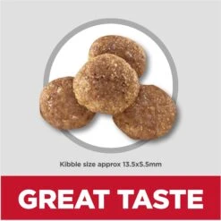 Hill's Science Diet Puppy Large Breed Chicken & Brown Rice Recipe Dry Dog Food -Blue Buffalos Shop 779142 PT5. AC SS1800 V1676907197