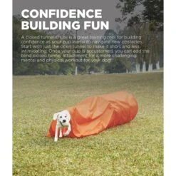 Outward Hound Zip & Zoom Closed Tunnel Chute Attachment With Metal Stakes Dog Agility Kit, Orange -Blue Buffalos Shop 786494 PT1. AC SS1800 V1682628083