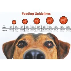 Blackwood 3000 Lamb Meal & Brown Rice Recipe Everyday Diet Dry Dog Food -Blue Buffalos Shop 79162 PT4. AC SS1800 V1550528818