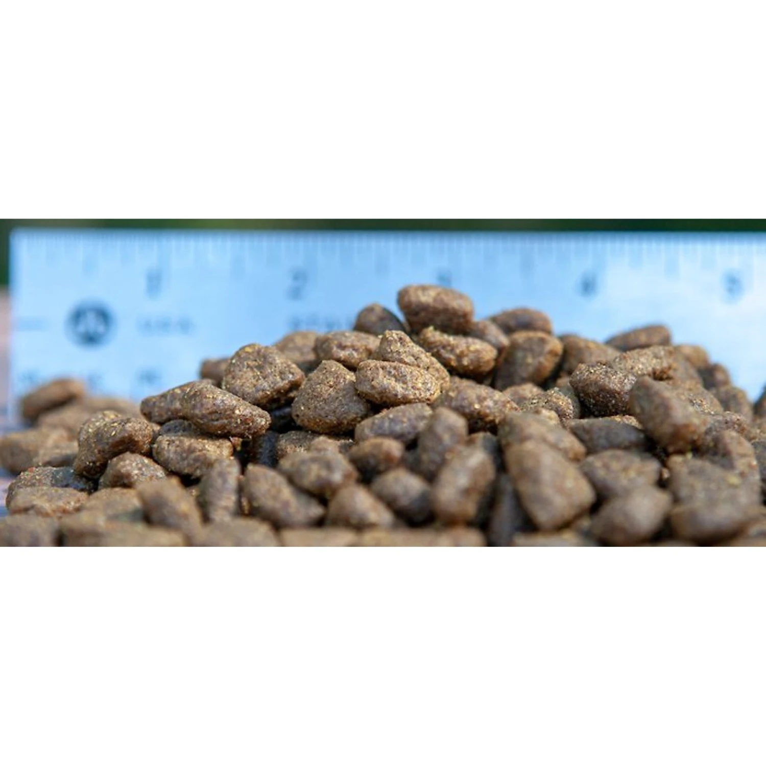 Blackwood Buffalo Meal & Field Pea Recipe Grain-Free Dry Dog Food 4 Blackwood Buffalo Meal & Field Pea Recipe Grain-Free Dry Dog Food - Image 2