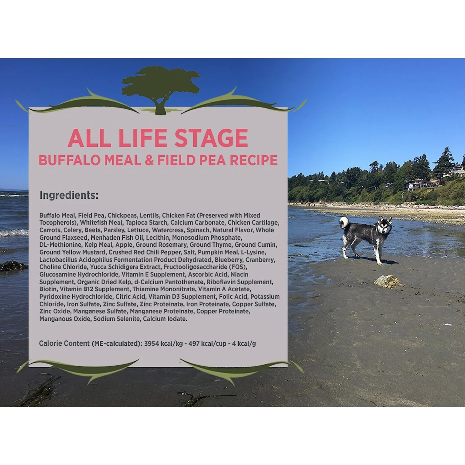 Blackwood Buffalo Meal & Field Pea Recipe Grain-Free Dry Dog Food 5 Blackwood Buffalo Meal & Field Pea Recipe Grain-Free Dry Dog Food - Image 3