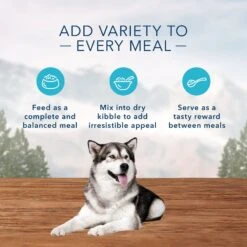 Blue Buffalo Wilderness Adult High Protein Natural Chicken & Wholesome Grains Dry Dog Food & Blue Buffalo Wilderness Beef & Chicken Grill Grain-Free Canned Dog Food -Blue Buffalos Shop 796158 PT8. AC SS1800 V1678140659