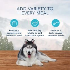 Blue Buffalo Wilderness Senior High Protein Natural Chicken & Wholesome Grains Dry Dog Food & Blue Buffalo Wilderness Turkey & Chicken Grill Grain-Free Senior Canned Dog Food -Blue Buffalos Shop 796166 PT8. AC SS1800 V1678140719