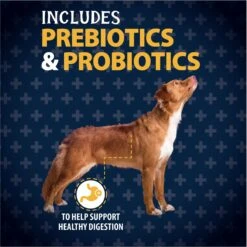 Triumph Free Spirit Grain-Free Deboned Salmon & Sweet Potato Recipe Dry Dog Food -Blue Buffalos Shop 79668 PT6. AC SS1800 V1657661028