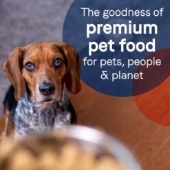 CANIDAE PURE Puppy Grain-Free Limited Ingredient Chicken Recipe Canned Dog Food 18 CANIDAE PURE Puppy Grain-Free Limited Ingredient Chicken Recipe Canned Dog Food -Blue Buffalos Shop 79984 PT7. AC SS1800 V1683052292