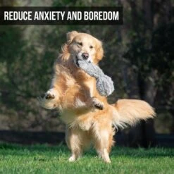 Hyper Pet Doggie Tail Interactive Dog Toy -Blue Buffalos Shop 80151 Pt3. AC SS1800 V1583767075