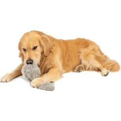 Hyper Pet Doggie Tail Interactive Dog Toy -Blue Buffalos Shop 80151 Pt5. AC SS1800 V1583768575