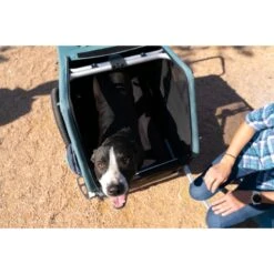 Burley Bolster Cat & Dog Bed With Removable Cover, Gray/Black -Blue Buffalos Shop 804894 PT2. AC SS1800 V1679000863