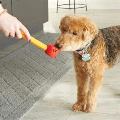 Brightkins Pooch School! Training Set Dog Toys -Blue Buffalos Shop 805342 PT3. AC SS1800 V1682450379