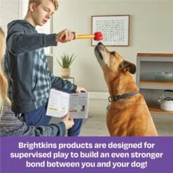 Brightkins Pooch School! Training Set Dog Toys -Blue Buffalos Shop 805342 PT5. AC SS1800 V1682450384