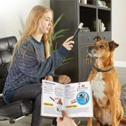 Brightkins Magic Trick! Training Set Dog Toys -Blue Buffalos Shop 805358 PT3. AC SS1800 V1682450432