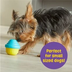 Brightkins Small Cupcake Treat Dispenser Dog Toy -Blue Buffalos Shop 805438 PT3. AC SS1800 V1682450416