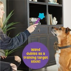 Brightkins Magic Wand! Star Treat Dispensing Dog Tpy -Blue Buffalos Shop 805454 PT2. AC SS1800 V1678999699
