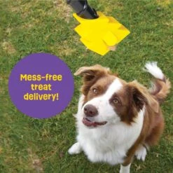 Brightkins Magic Wand! Bolt Treat Dispensing Dog Toy -Blue Buffalos Shop 805470 PT3. AC SS1800 V1682450563