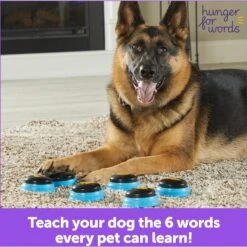 Hunger For Words Talking Pet Essential Words Dog Toy 11 Hunger For Words Talking Pet Essential Words Dog Toy -Blue Buffalos Shop 805550 PT5. AC SS1800 V1682450529