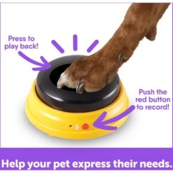 Hunger For Words Talking Pet Next Words: Names Dog Toy -Blue Buffalos Shop 805566 PT4. AC SS1800 V1682450408