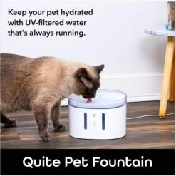 Geeni PetConnect UV Sterilized Circulating Water Smart Dog & Cat Fountain, 2-L 14 Geeni PetConnect UV Sterilized Circulating Water Smart Dog & Cat Fountain, 2-L -Blue Buffalos Shop 811790 PT4. AC SS1800 V1688759852
