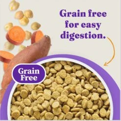 Halo Holistic Complete Digestive Health Grain-Free Chicken & Sweet Potato Recipe Senior Dry Dog Food -Blue Buffalos Shop 812982 PT3. AC SS1800 V1682350151