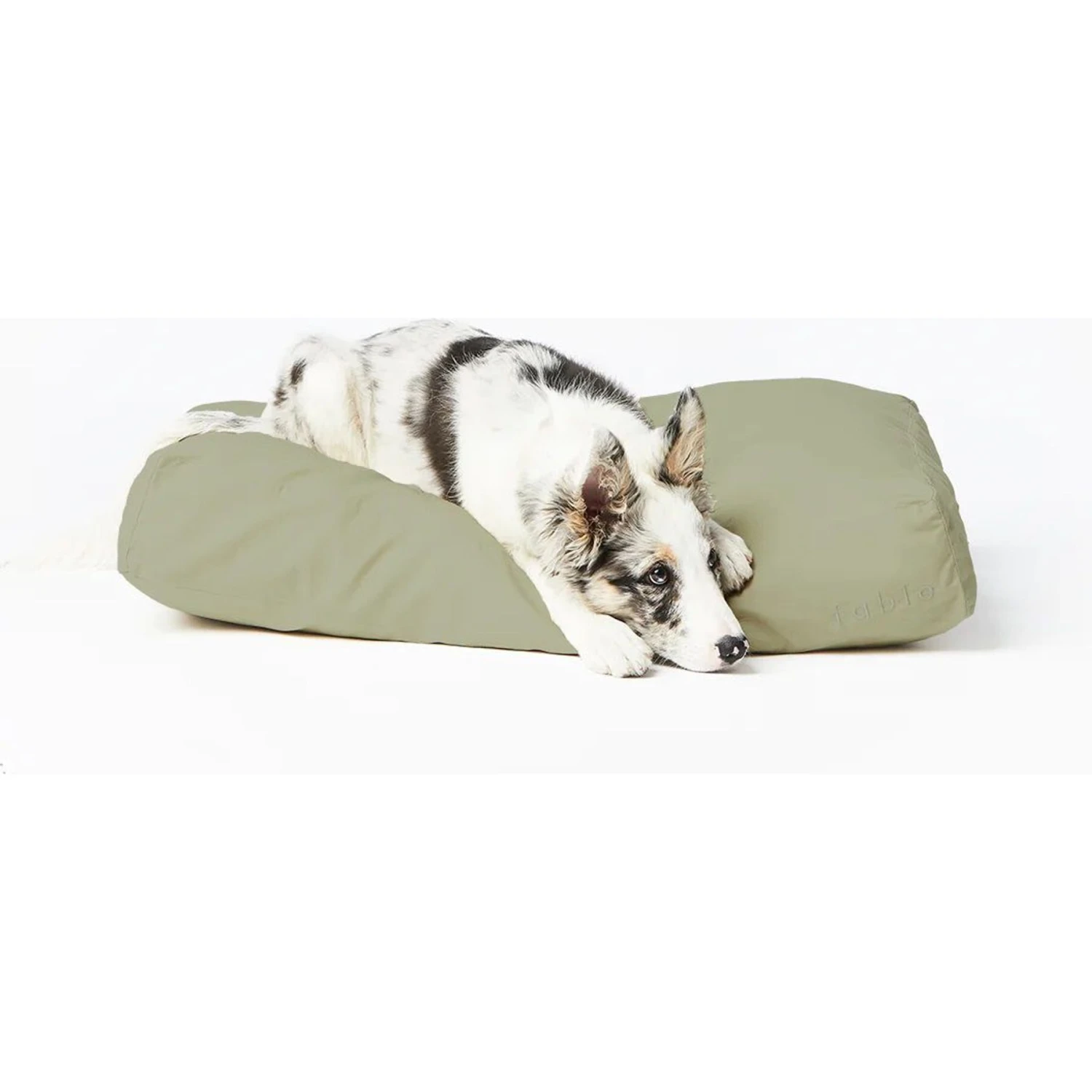 Fable Pets Memory Foam Cat & Dog Bed 4 Fable Pets Memory Foam Cat & Dog Bed - Image 2