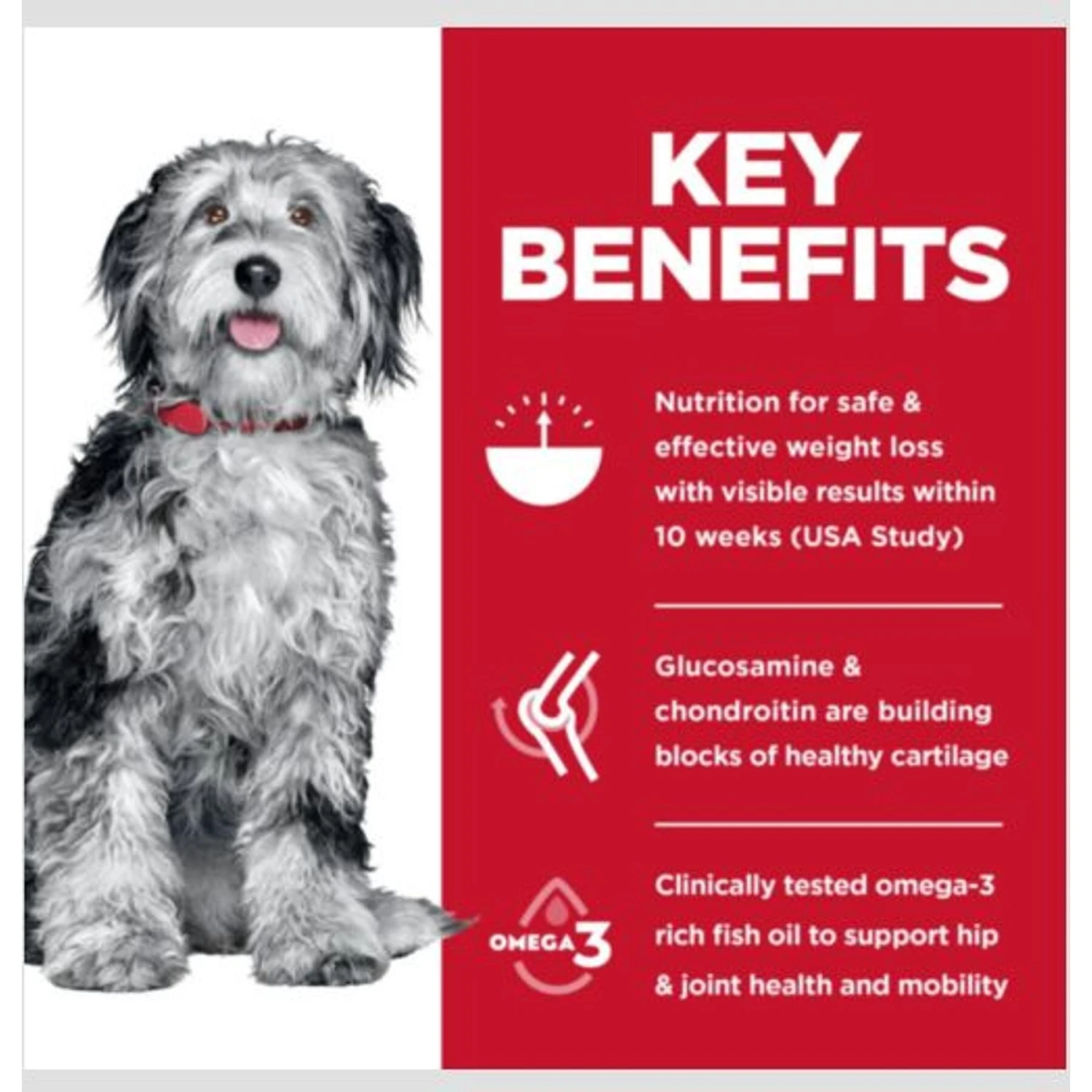 Hill's Science Diet Perfect Weight & Joint Support Chicken Flavored Adult Dry Dog Food 6 Hill's Science Diet Perfect Weight & Joint Support Chicken Flavored Adult Dry Dog Food - Image 4