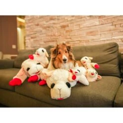 Multipet Lamb Chop Bolster Cat & Dog Bed With Removable Cover -Blue Buffalos Shop 821390 PT4. AC SS1800 V1684329715