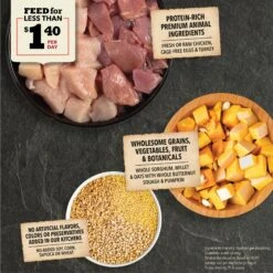 ACANA Wholesome Grains Real Chicken Eggs & Turkey Dry Puppy Food, 22.5-lb Bag -Blue Buffalos Shop 822678 PT3. AC SS1800 V1696276591