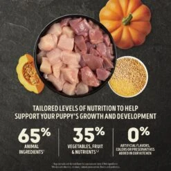 ACANA Wholesome Grains Large Breed Puppy Dry Dog Food, 22.5-lb Bag -Blue Buffalos Shop 822710 PT3. AC SS1800 V1682540129