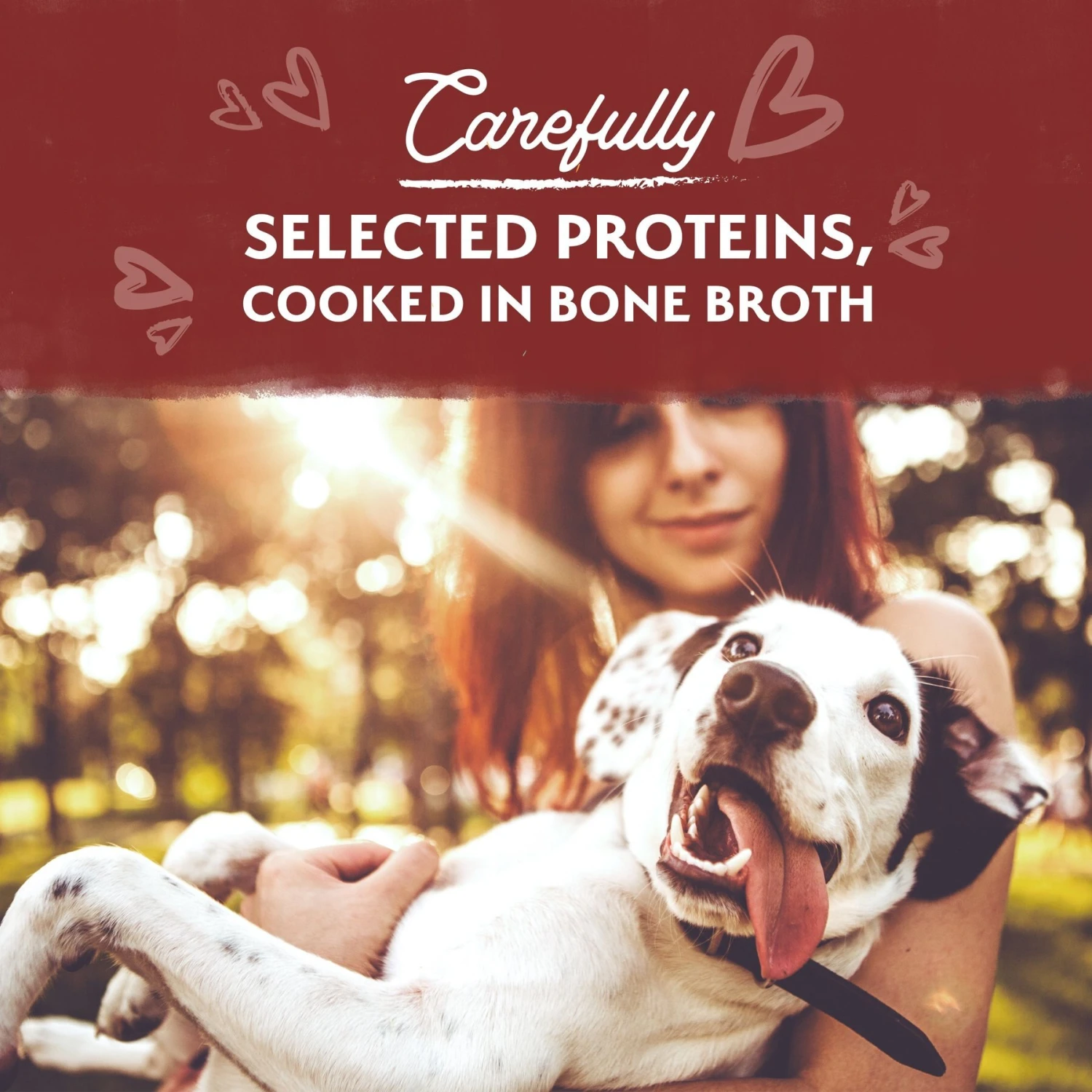 Natural Balance Limited Ingredient Grain-Free Beef Stew Wet Dog Food, 11-oz Box, Case Of 12 5 Natural Balance Limited Ingredient Grain-Free Beef Stew Wet Dog Food, 11-oz Box, Case Of 12 - Image 3