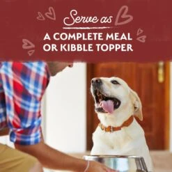 Natural Balance Limited Ingredient Grain-Free Beef Stew Wet Dog Food, 11-oz Box, Case Of 12 14 Natural Balance Limited Ingredient Grain-Free Beef Stew Wet Dog Food, 11-oz Box, Case Of 12 -Blue Buffalos Shop 825326 PT4. AC SS1800 V1681153409