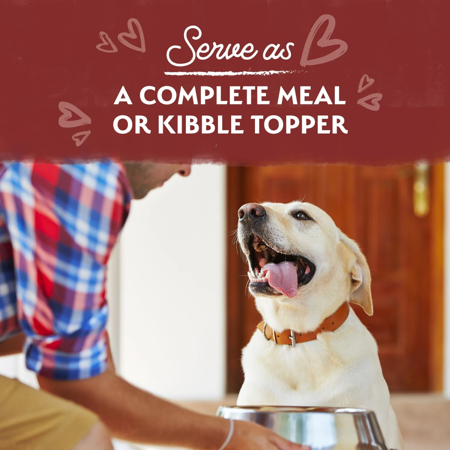 Natural Balance Limited Ingredient Grain-Free Beef Stew Wet Dog Food, 11-oz Box, Case Of 12 7 Natural Balance Limited Ingredient Grain-Free Beef Stew Wet Dog Food, 11-oz Box, Case Of 12 - Image 5