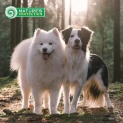 Nature's Protection Superior Care White Grain-Free Insect Adult Small Breed Dry Dog Food -Blue Buffalos Shop 825494 PT7. AC SS1800 V1700162168