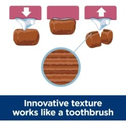 Hill's Science Diet Oral Care Small & Mini Chicken Recipe Adult Dry Dog Food -Blue Buffalos Shop 825798 PT3. AC SS1800 V1689970941