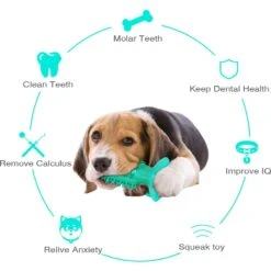 Hanamya Slower With Press Button Dog & Cat Feeder, Blue 13 Hanamya Slower With Press Button Dog & Cat Feeder, Blue -Blue Buffalos Shop 838798 PT2. AC SS1800 V1697645766