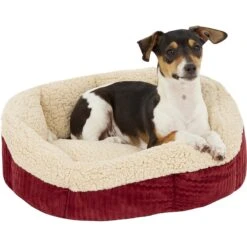Aspen Pet Self-Warming Bolster Cat & Dog Bed, Warm Spice/Cream -Blue Buffalos Shop 83889 PT3. AC SS1800 V1566315440