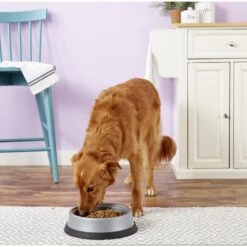 JW Pet Skid Stop Heavyweight Non-Skid Plastic Dog & Cat Bowl -Blue Buffalos Shop 83919 PT2. AC SS1800 V1540302824
