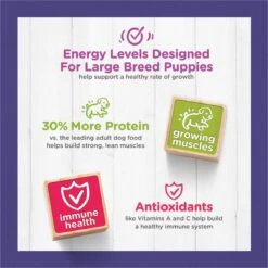 Puppy Chow High Protein With Real Chicken Large Breed Dry Puppy Food -Blue Buffalos Shop 839694 PT7. AC SS1800 V1701881648