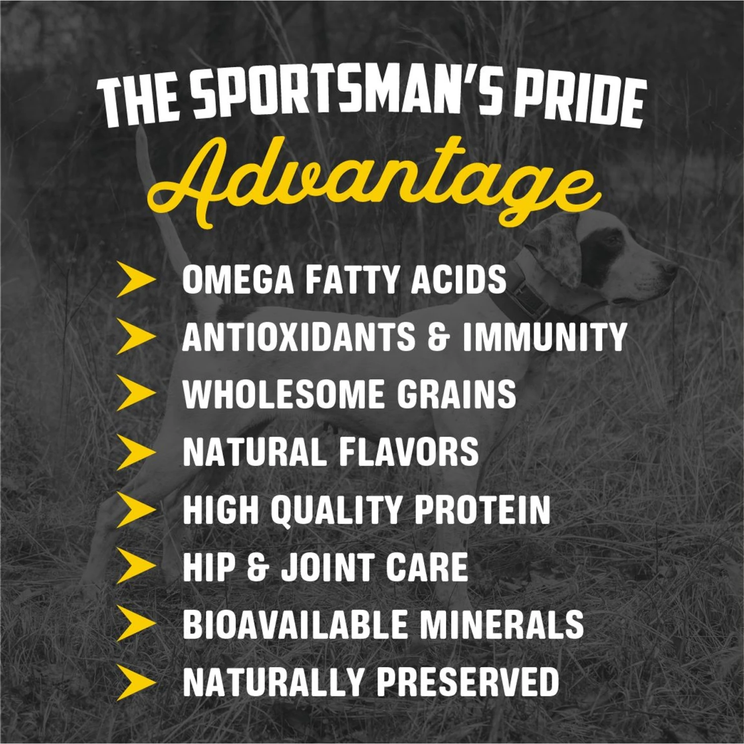 Sportsman's Pride Professional 30/20 Formula Adult Dog Food 5 Sportsman's Pride Professional 30/20 Formula Adult Dog Food - Image 3