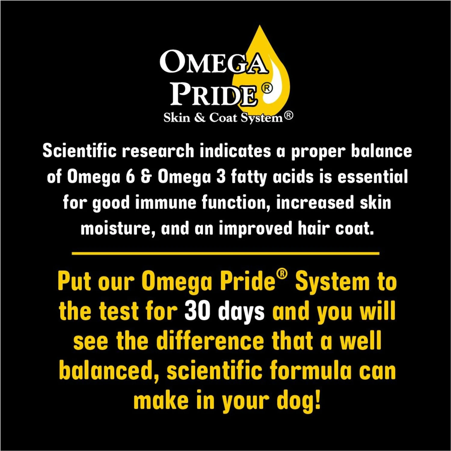 Sportsman's Pride Professional 30/20 Formula Adult Dog Food 10 Sportsman's Pride Professional 30/20 Formula Adult Dog Food - Image 8