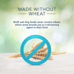 Blue Buffalo Freedom Senior Chicken Recipe Grain-Free Canned Dog Food 13 Blue Buffalo Freedom Senior Chicken Recipe Grain-Free Canned Dog Food -Blue Buffalos Shop 84150 PT4. AC SS1800 V1585084611