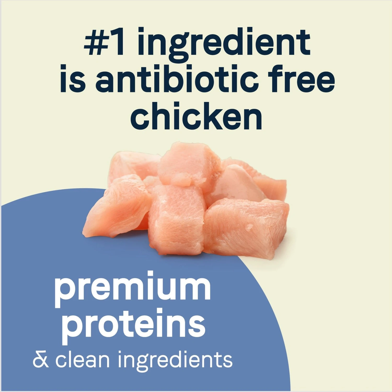 CANIDAE Pure Petite Premium Recipe Puppy Chicken & Wholesome Grains Dry Dog Food, 4-lb Bag 5 CANIDAE Pure Petite Premium Recipe Puppy Chicken & Wholesome Grains Dry Dog Food, 4-lb Bag - Image 3