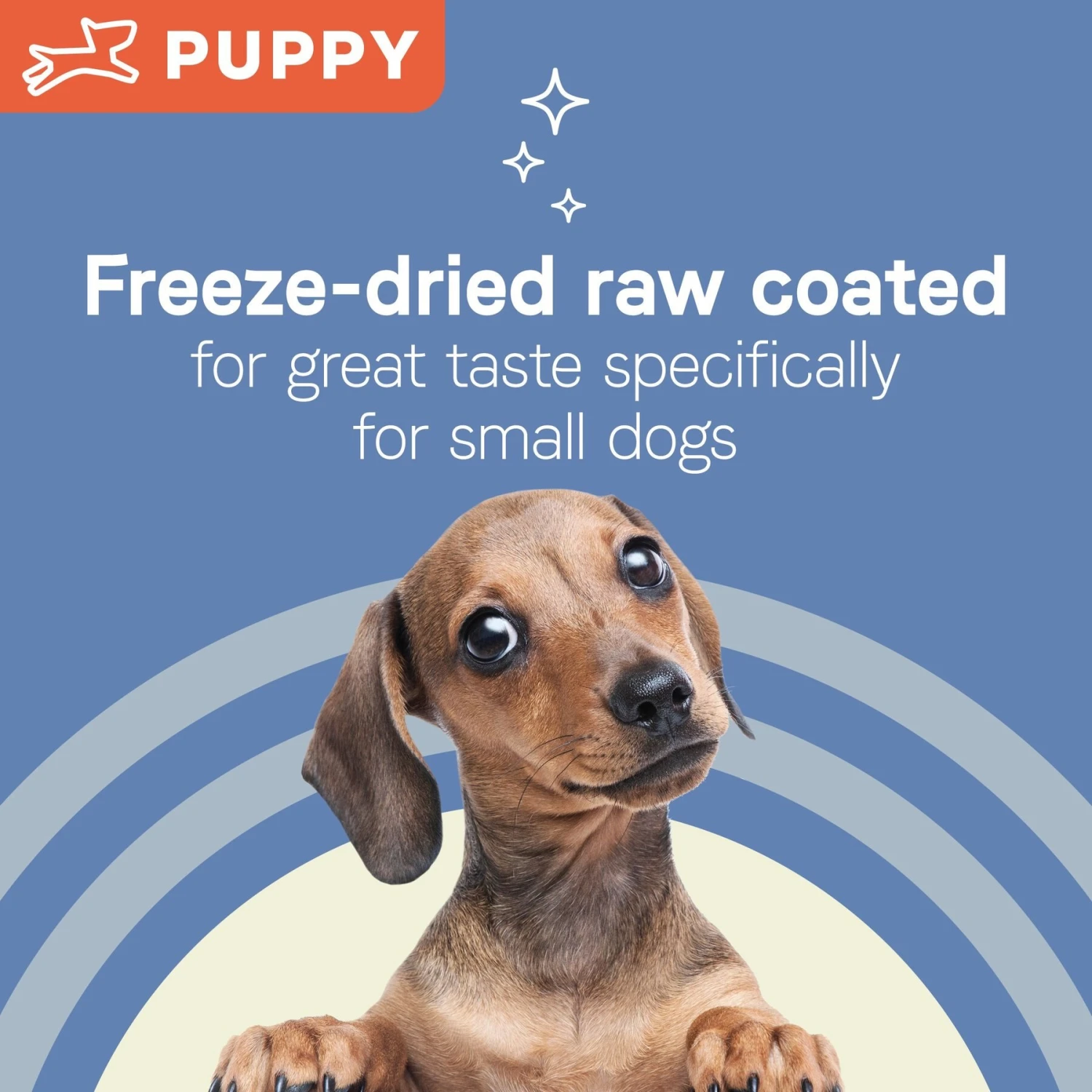 CANIDAE Pure Petite Premium Recipe Puppy Chicken & Wholesome Grains Dry Dog Food, 4-lb Bag 7 CANIDAE Pure Petite Premium Recipe Puppy Chicken & Wholesome Grains Dry Dog Food, 4-lb Bag - Image 5