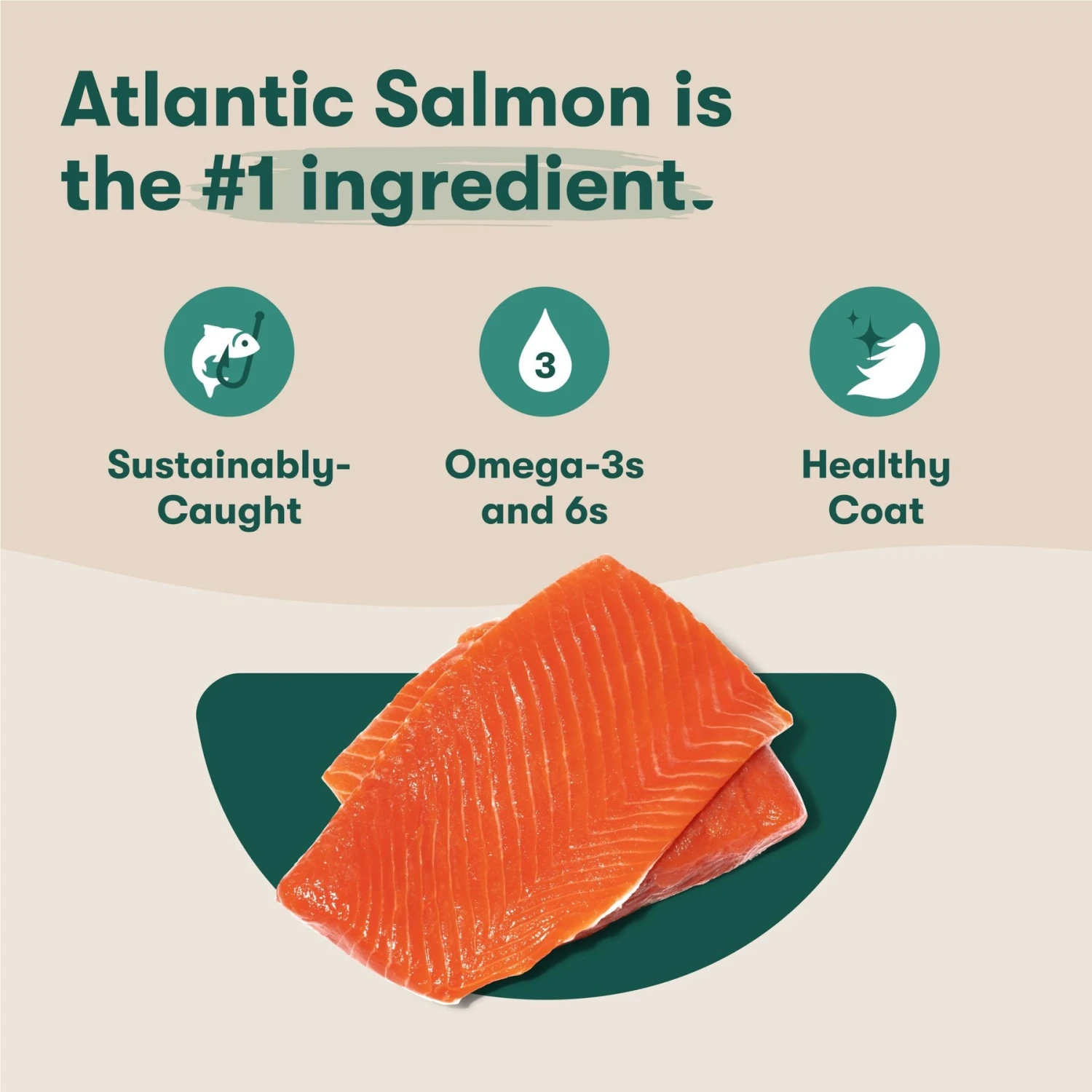 Jinx Salmon, Sweet Potato & Carrot ALS Kibble Dog Dry Food 5 Jinx Salmon, Sweet Potato & Carrot ALS Kibble Dog Dry Food - Image 3