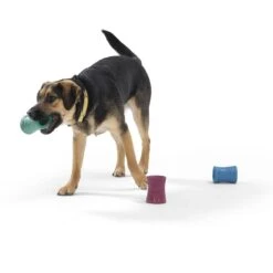 West Paw Funnl Dog Toy, Large, 4.25-in 16 West Paw Funnl Dog Toy, Large, 4.25-in -Blue Buffalos Shop 847974 PT6. AC SS1800 V1683905951